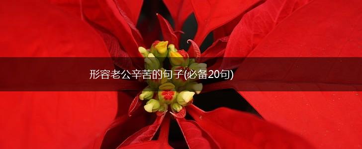 形容老公辛苦的句子(必备20句),第1张