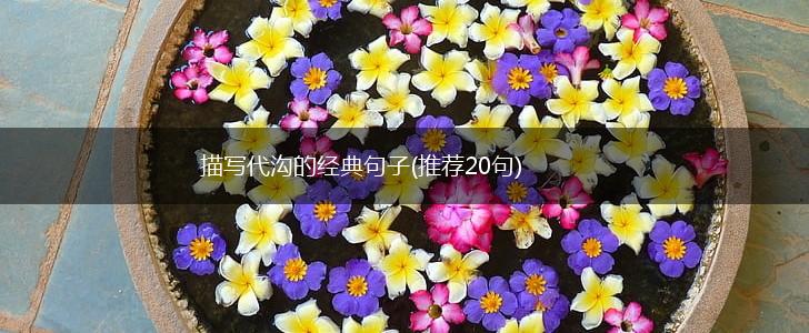 描写代沟的经典句子(推荐20句),第1张