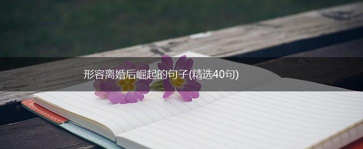 形容离婚后崛起的句子(精选40句),第1张