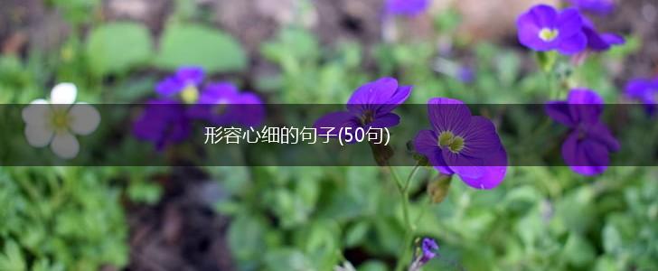 形容心细的句子(50句),第1张
