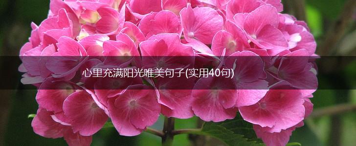 心里充满阳光唯美句子(实用40句),第1张