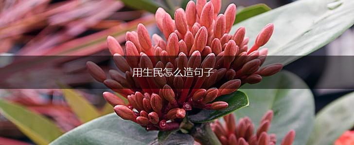 用生民怎么造句子,第1张
