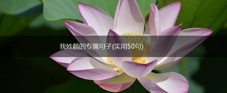 我姓赖的专属句子(实用50句),第1张