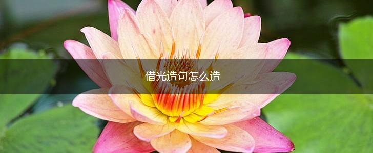 借光造句怎么造,第1张