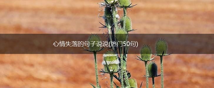 心情失落的句子说说(热门50句),第1张