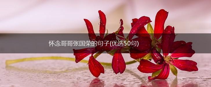 怀念哥哥张国荣的句子(优选50句),第1张