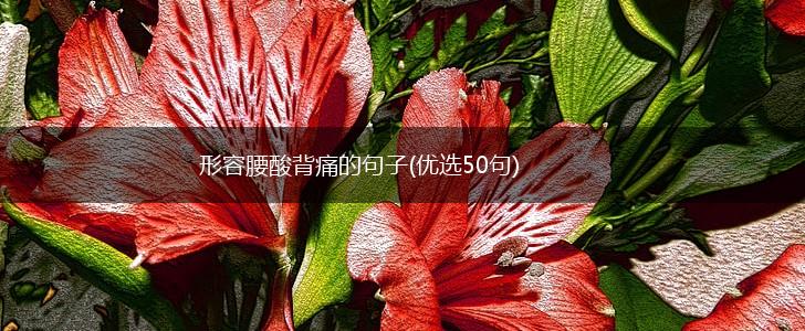 形容腰酸背痛的句子(优选50句),第1张