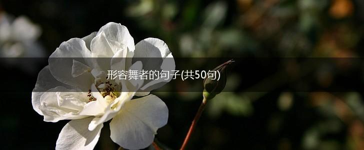 形容舞者的句子(共50句),第1张