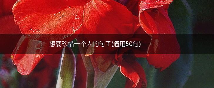 想要珍惜一个人的句子(通用50句),第1张