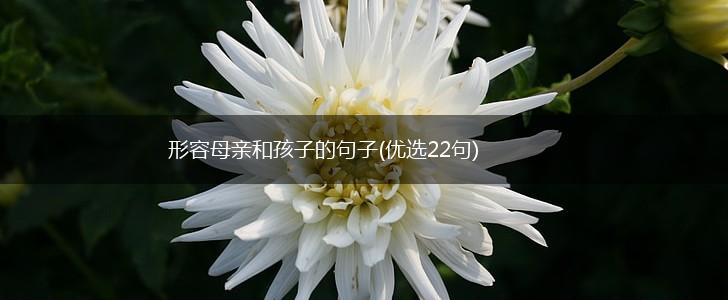 形容母亲和孩子的句子(优选22句),第1张