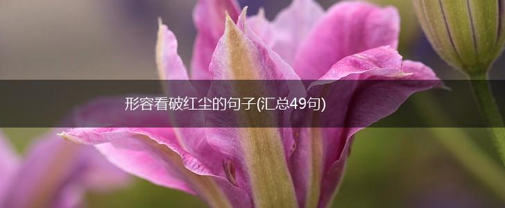 形容看破红尘的句子(汇总49句),第1张