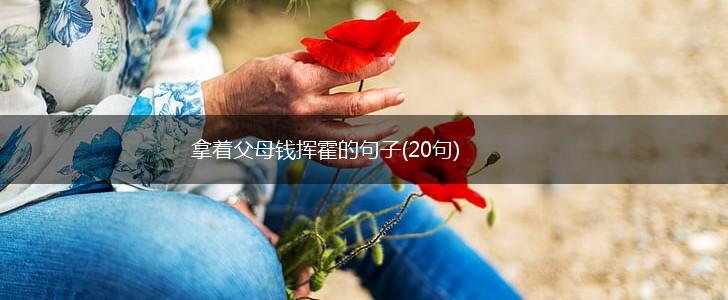 拿着父母钱挥霍的句子(20句),第1张