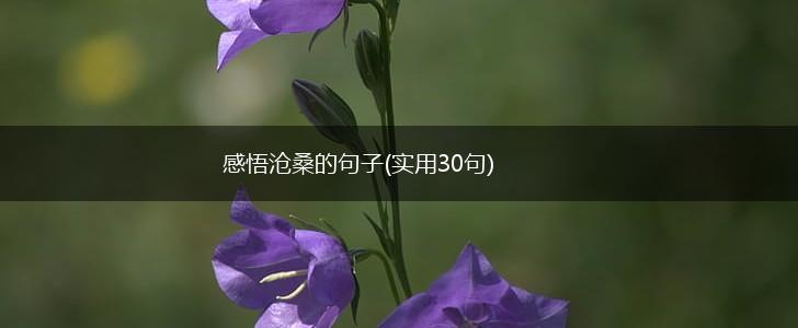 感悟沧桑的句子(实用30句),第1张