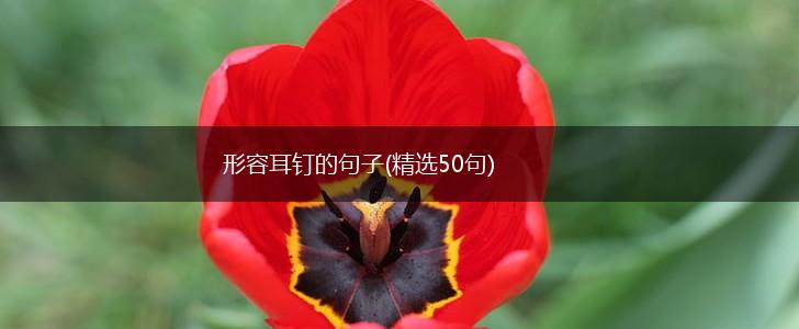 形容耳钉的句子(精选50句),第1张