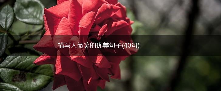 描写人微笑的优美句子(40句),第1张
