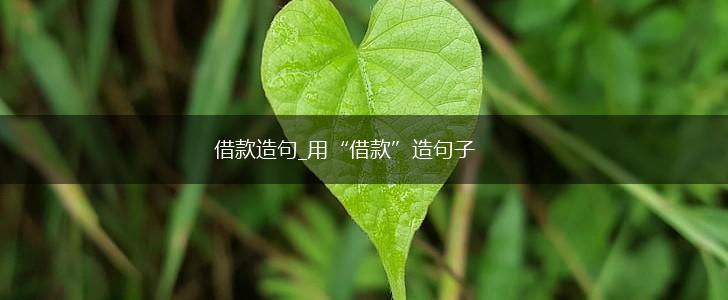 借款造句_用“借款”造句子,第1张