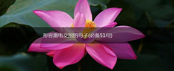 形容雷电交加的句子(必备51句),第1张