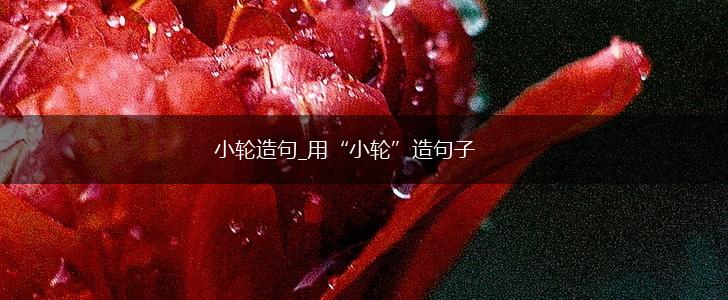 小轮造句_用“小轮”造句子,第1张