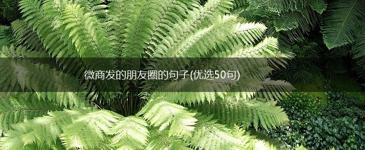 微商发的朋友圈的句子(优选50句),第1张