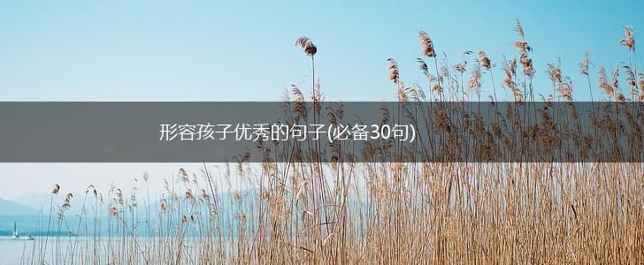 形容孩子优秀的句子(必备30句),第1张
