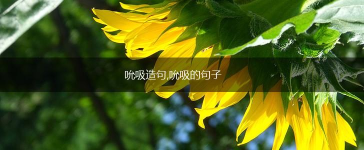 吮吸造句,吮吸的句子,第1张