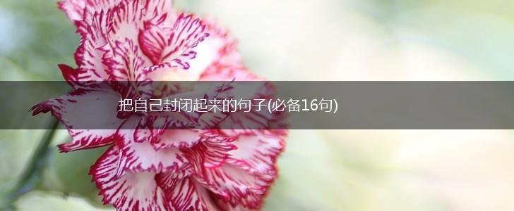 把自己封闭起来的句子(必备16句),第1张