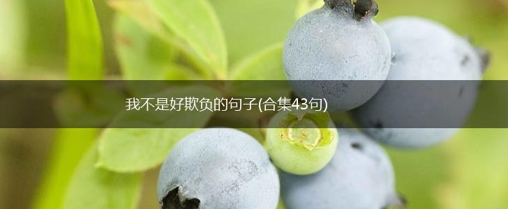 我不是好欺负的句子(合集43句),第1张