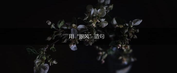 用“眼风”造句,第1张