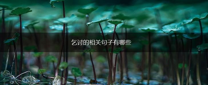 乞讨的相关句子有哪些,第1张
