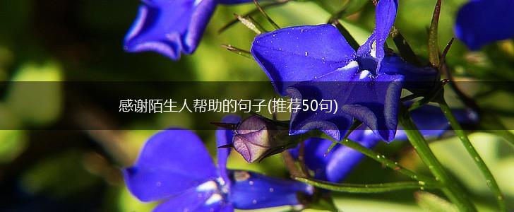 感谢陌生人帮助的句子(推荐50句),第1张