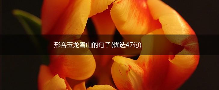 形容玉龙雪山的句子(优选47句),第1张