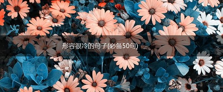 形容很冷的句子(必备50句),第1张
