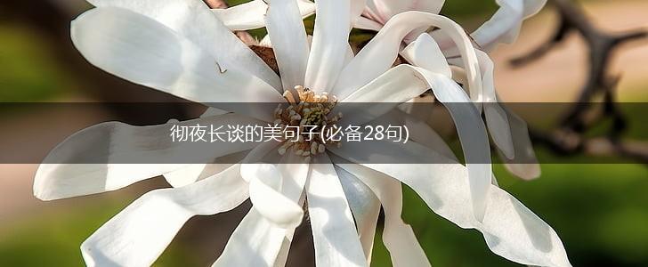 彻夜长谈的美句子(必备28句),第1张