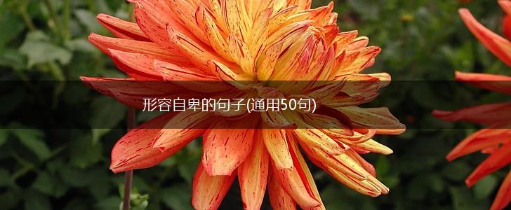 形容自卑的句子(通用50句),第1张