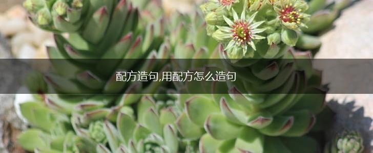 配方造句,用配方怎么造句,第1张