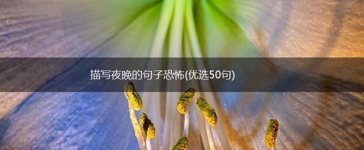 描写夜晚的句子恐怖(优选50句),第1张