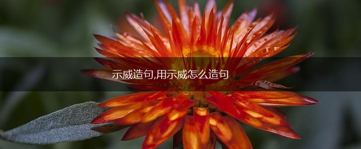 示威造句,用示威怎么造句,第1张