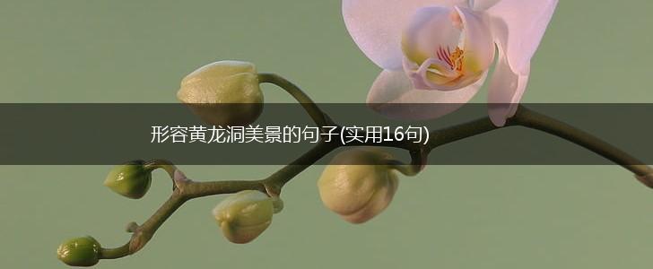 形容黄龙洞美景的句子(实用16句),第1张