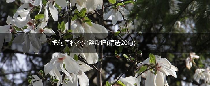 把句子补充完整我把(精选20句),第1张