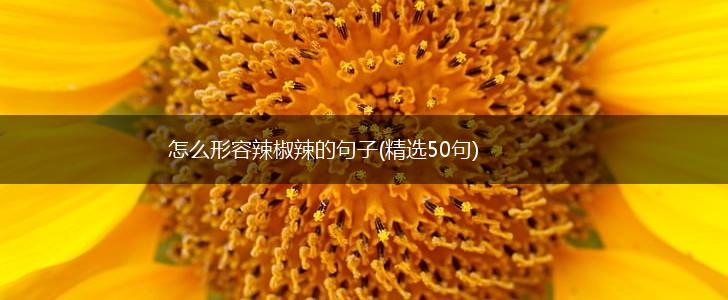 怎么形容辣椒辣的句子(精选50句),第1张