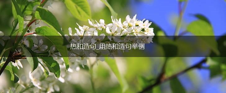 热和造句_用热和造句举例,第1张