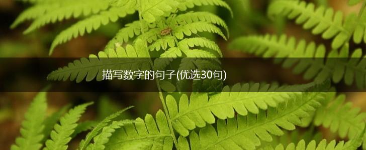 描写数字的句子(优选30句),第1张