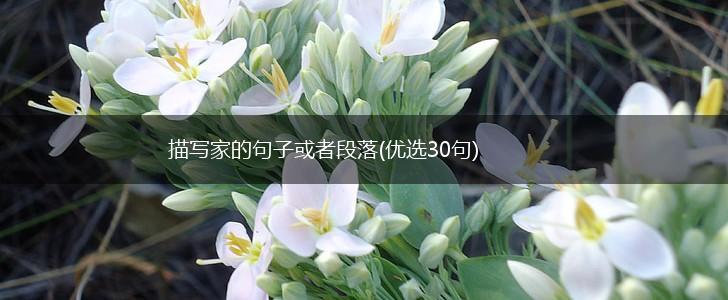 描写家的句子或者段落(优选30句),第1张