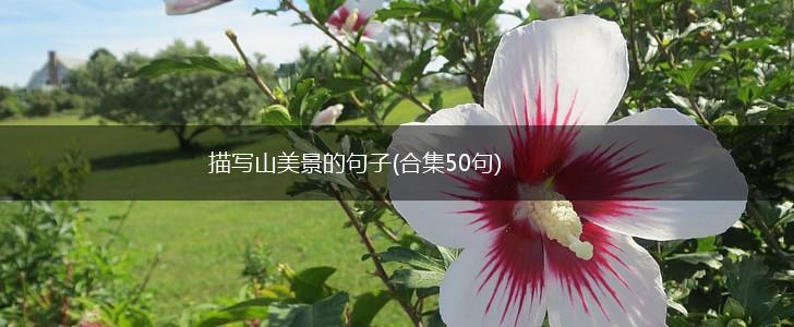 描写山美景的句子(合集50句),第1张