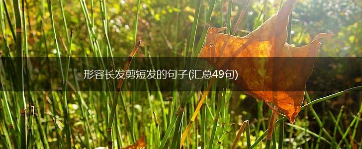 形容长发剪短发的句子(汇总49句),第1张
