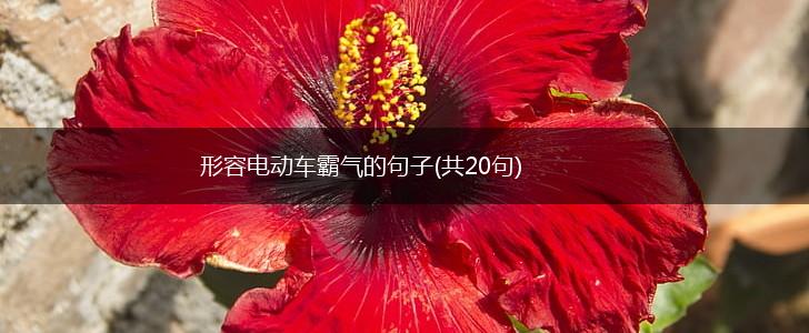 形容电动车霸气的句子(共20句),第1张