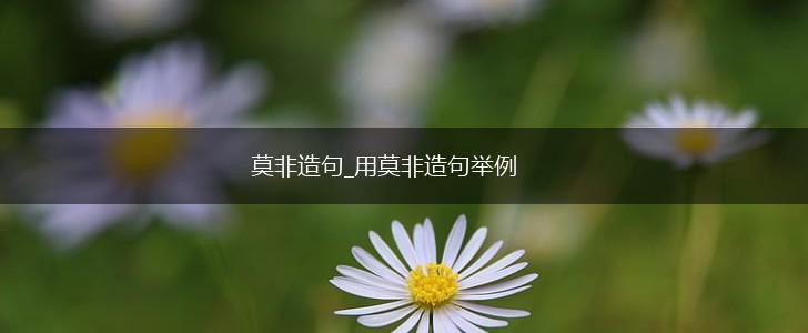 莫非造句_用莫非造句举例,第1张