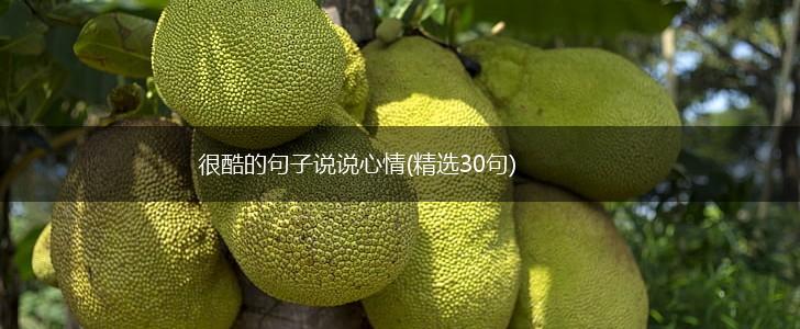很酷的句子说说心情(精选30句),第1张