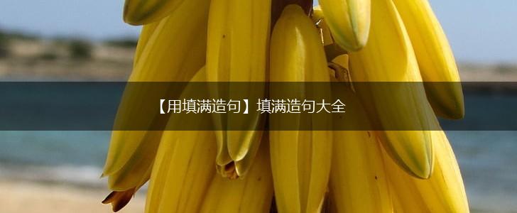 【用填满造句】填满造句大全,第1张