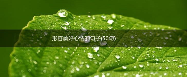 形容美好心情的句子(50句),第1张